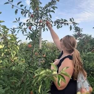 Meet your Posher, Stephanie